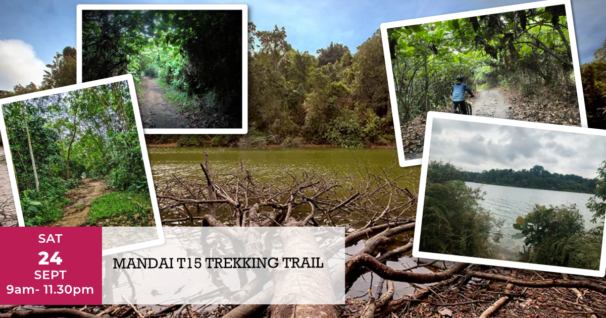 Mandai T15 Trekking Trail