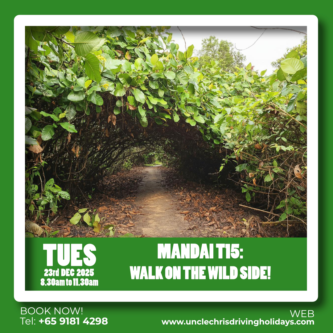 MANDAI T15: WALK ON THE WILD SIDE! Tues, 23rd Dec 2025 8.30am to 11.30am